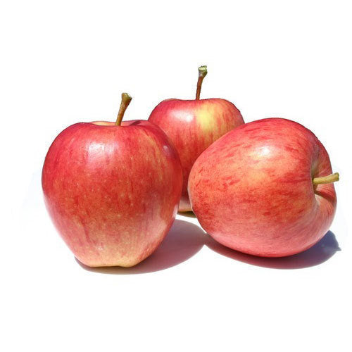 Royal Gala Apple Imported